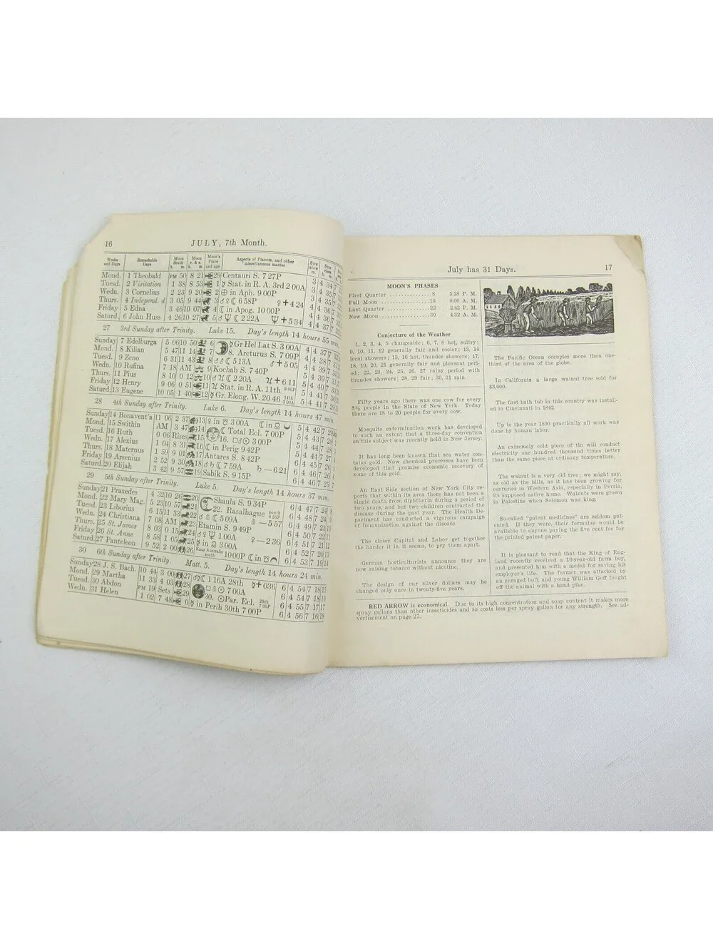 Vintage 1935 Old Farmer's Almanac John Gruber Hagerstown Town & Country Almanack